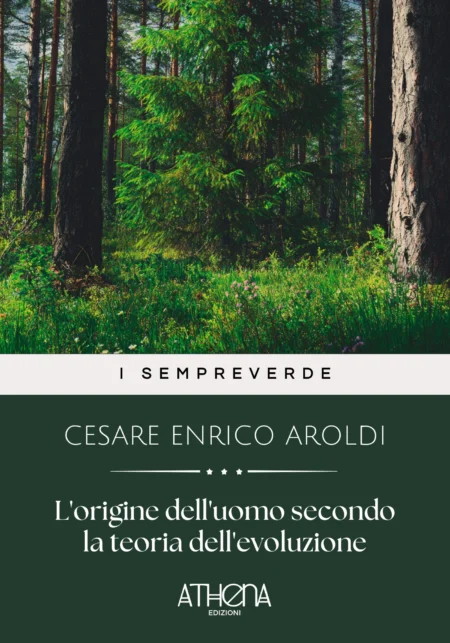 L'origine dell'uomo secondo la teoria dell'evoluzione